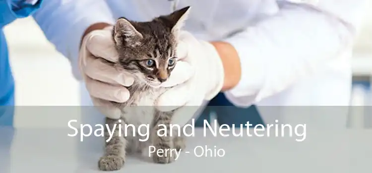 Spaying and Neutering Perry - Ohio