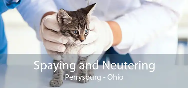Spaying and Neutering Perrysburg - Ohio