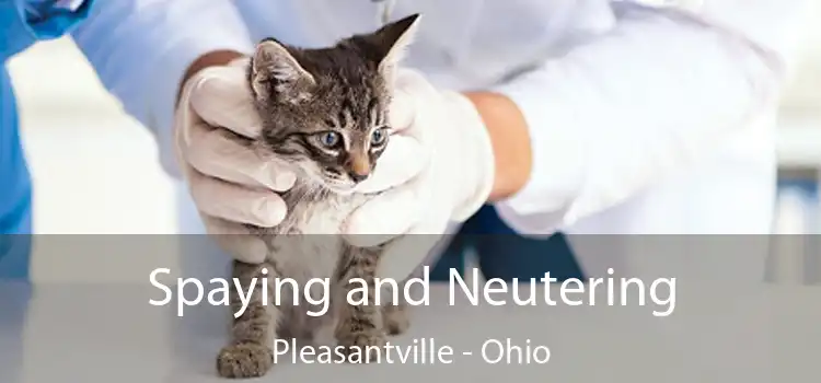 Spaying and Neutering Pleasantville - Ohio