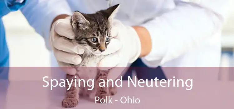 Spaying and Neutering Polk - Ohio