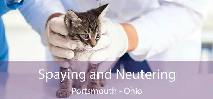 Spaying and Neutering Portsmouth - Ohio