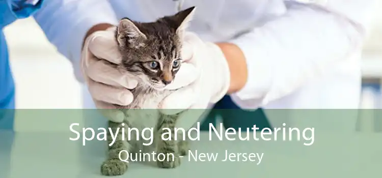 Spaying and Neutering Quinton - New Jersey