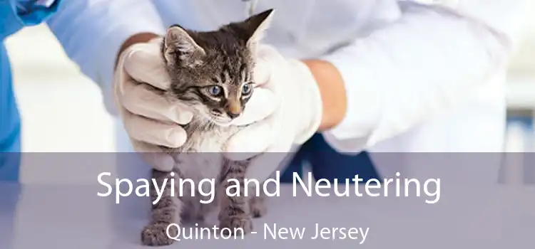 Spaying and Neutering Quinton - New Jersey