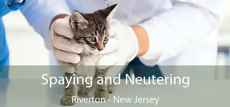 Spaying and Neutering Riverton - New Jersey