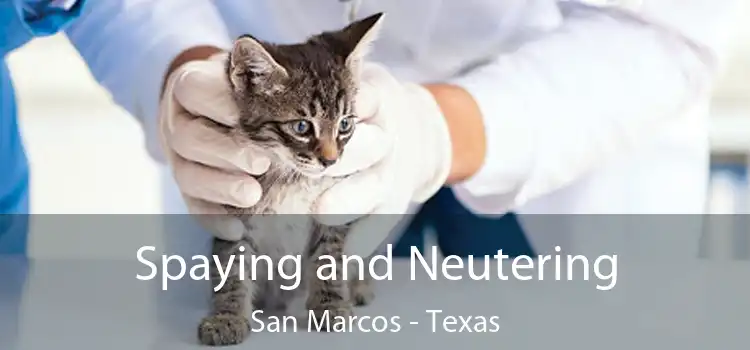 Spaying and Neutering San Marcos - Texas