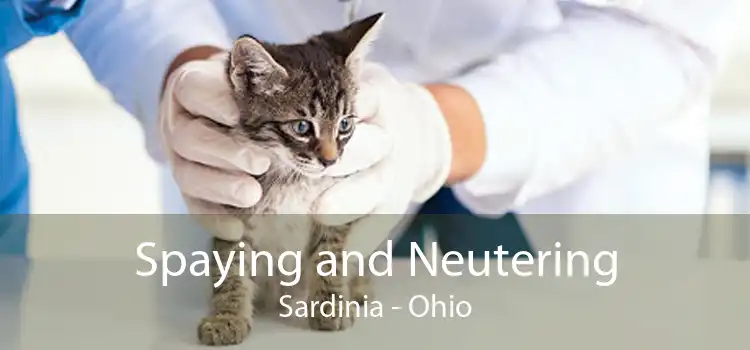 Spaying and Neutering Sardinia - Ohio