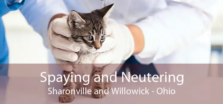 Spaying and Neutering Sharonville and Willowick - Ohio