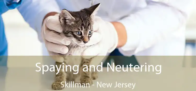 Spaying and Neutering Skillman - New Jersey