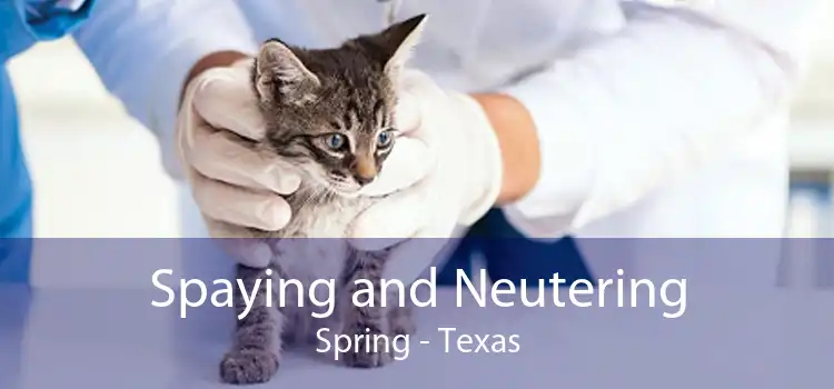 Spaying and Neutering Spring - Texas