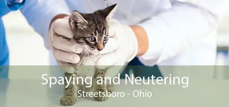 Spaying and Neutering Streetsboro - Ohio