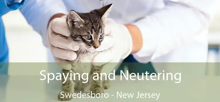 Spaying and Neutering Swedesboro - New Jersey