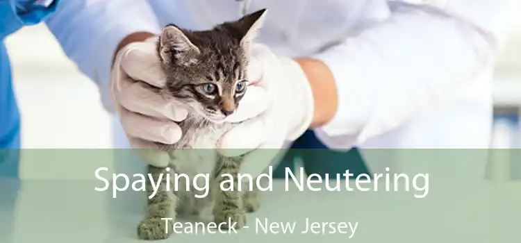 Spaying and Neutering Teaneck - New Jersey