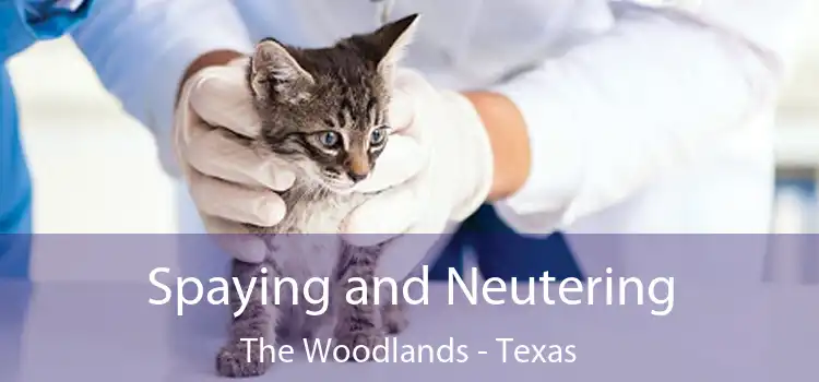 Spaying and Neutering The Woodlands - Texas