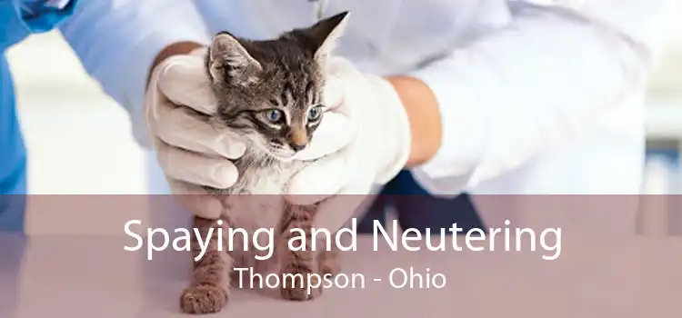 Spaying and Neutering Thompson - Ohio
