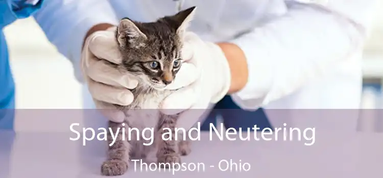 Spaying and Neutering Thompson - Ohio