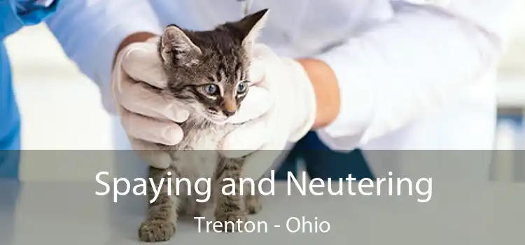 Spaying and Neutering Trenton - Ohio