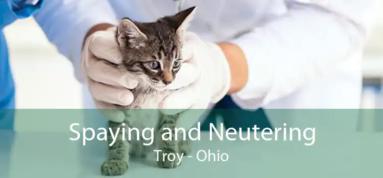 Spaying and Neutering Troy - Ohio