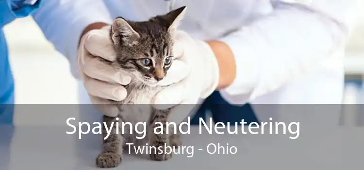 Spaying and Neutering Twinsburg - Ohio