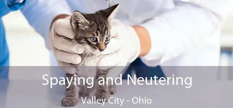 Spaying and Neutering Valley City - Ohio