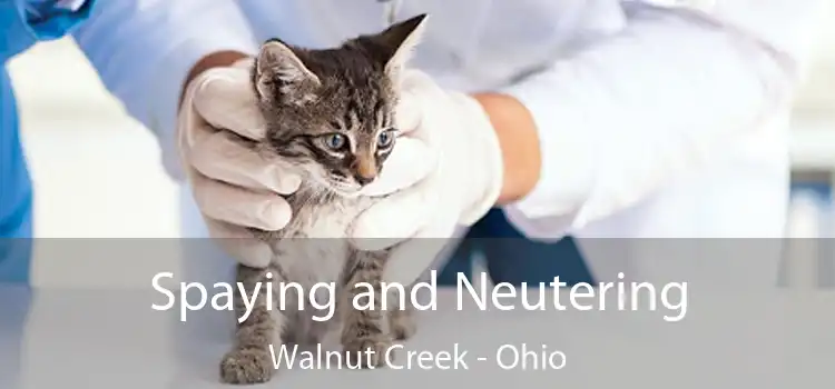 Spaying and Neutering Walnut Creek - Ohio