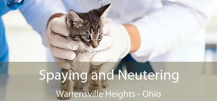 Spaying and Neutering Warrensville Heights - Ohio