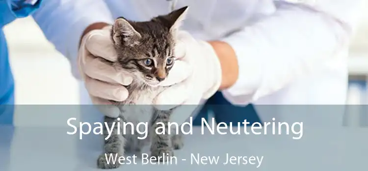 Spaying and Neutering West Berlin - New Jersey