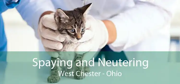 Spaying and Neutering West Chester - Ohio