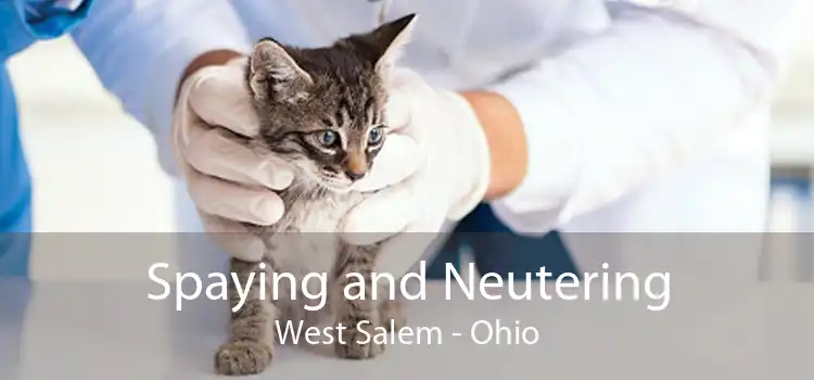 Spaying and Neutering West Salem - Ohio