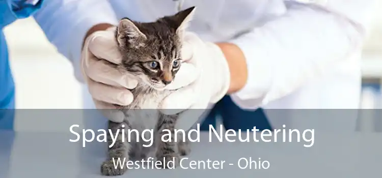 Spaying and Neutering Westfield Center - Ohio