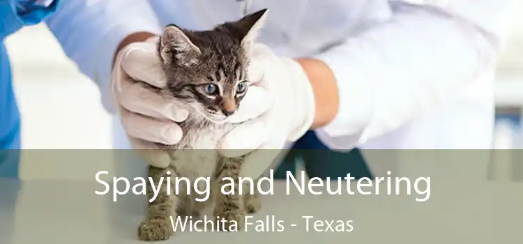 Spaying and Neutering Wichita Falls - Texas