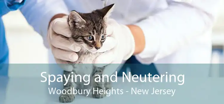 Spaying and Neutering Woodbury Heights - New Jersey