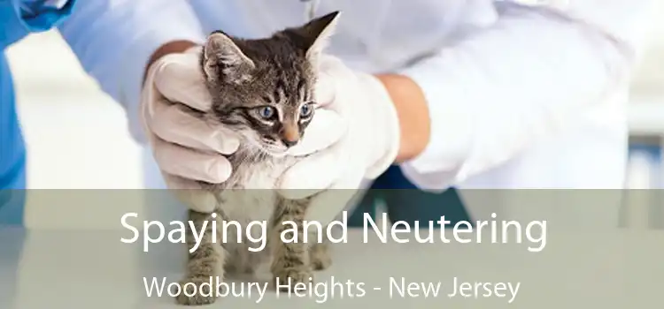 Spaying and Neutering Woodbury Heights - New Jersey