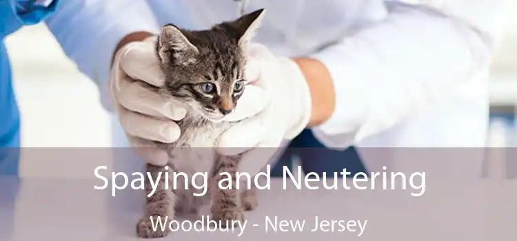 Spaying and Neutering Woodbury - New Jersey