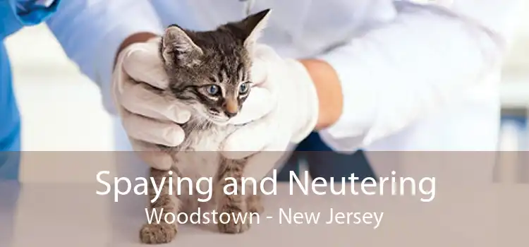 Spaying and Neutering Woodstown - New Jersey