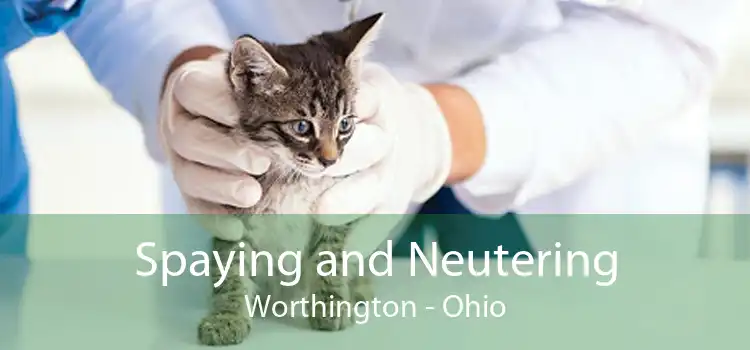 Spaying And Neutering Worthington - Low Cost Pet Spay And Neuter Clinic
