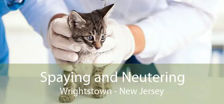 Spaying and Neutering Wrightstown - New Jersey