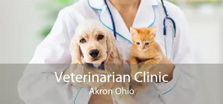 Veterinarian Clinic Akron Ohio