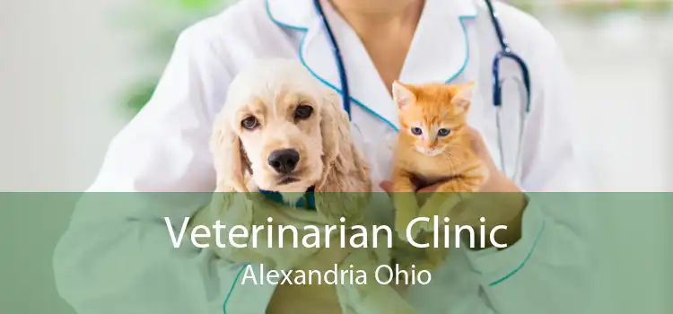 Veterinarian Clinic Alexandria Ohio