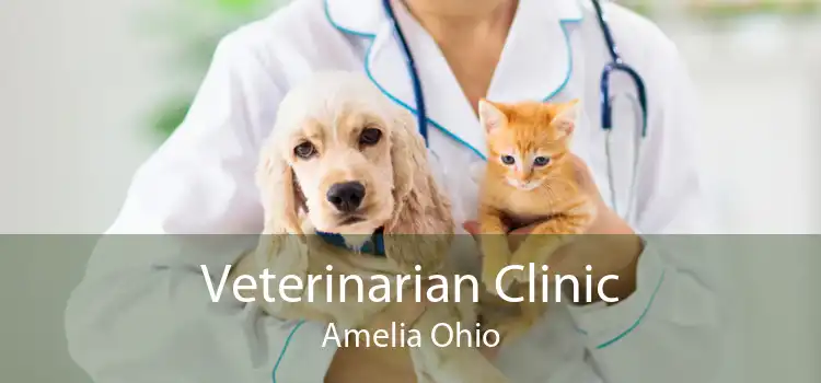 Veterinarian Clinic Amelia Ohio
