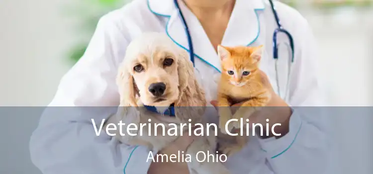 Veterinarian Clinic Amelia Ohio