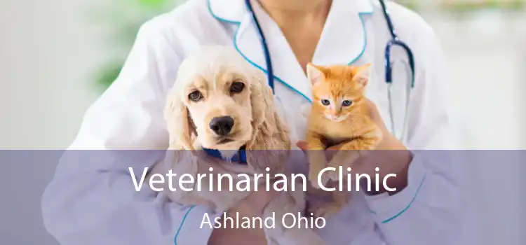 Veterinarian Clinic Ashland Ohio