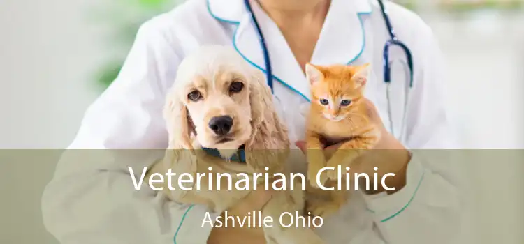 Veterinarian Clinic Ashville Ohio