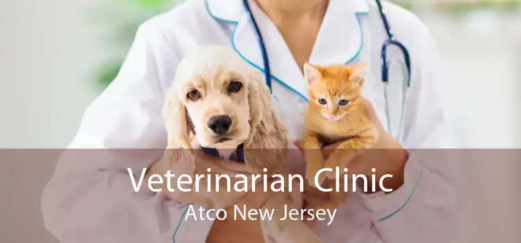 Veterinarian Clinic Atco New Jersey