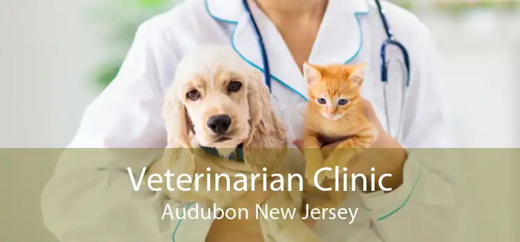 Veterinarian Clinic Audubon New Jersey