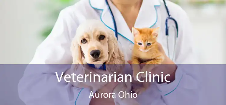 Veterinarian Clinic Aurora Ohio