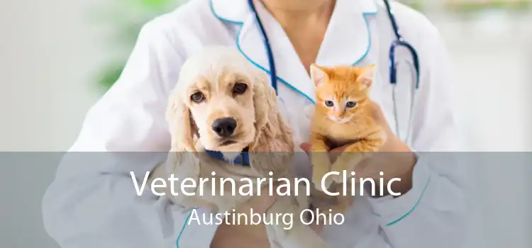 Veterinarian Clinic Austinburg Ohio