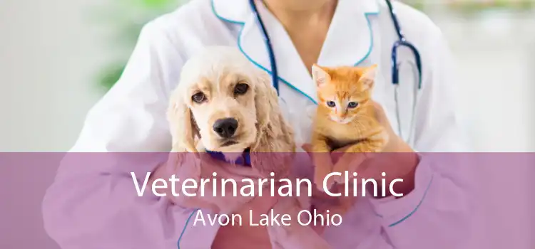 Veterinarian Clinic Avon Lake Ohio