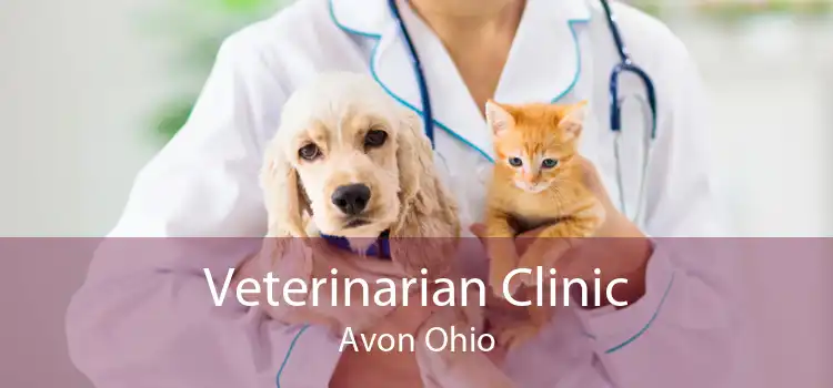 Veterinarian Clinic Avon Ohio