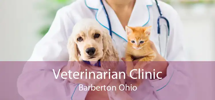 Veterinarian Clinic Barberton Ohio