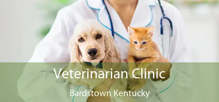 Veterinarian Clinic Bardstown Kentucky